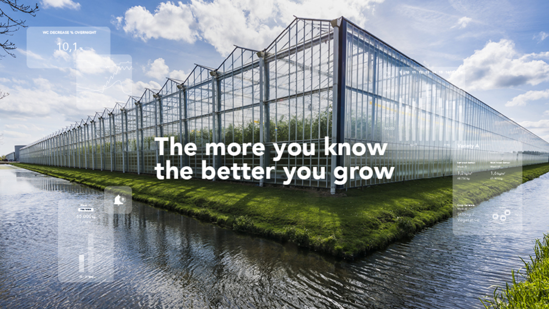 20200410 GR ILL 5062