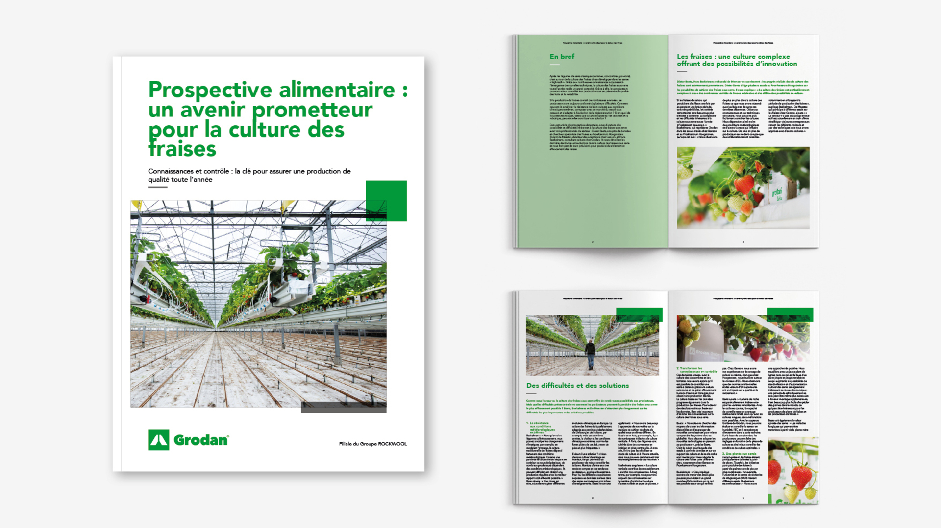 20211201 GR ILL 5157