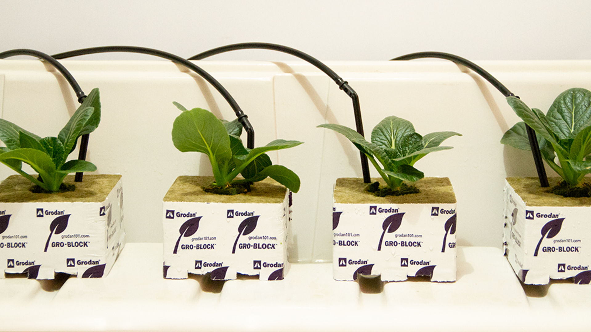 20200324 RW-GR PROD 63